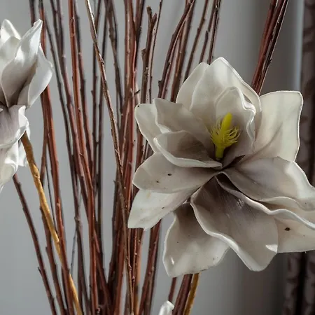 F57 - Franko Csaladi Panzio 4* Balatonlelle